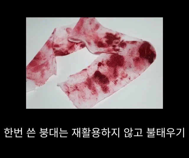 프랑스에서 흑사병 퇴치한 의사_9.webp