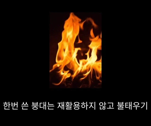 프랑스에서 흑사병 퇴치한 의사_10.webp