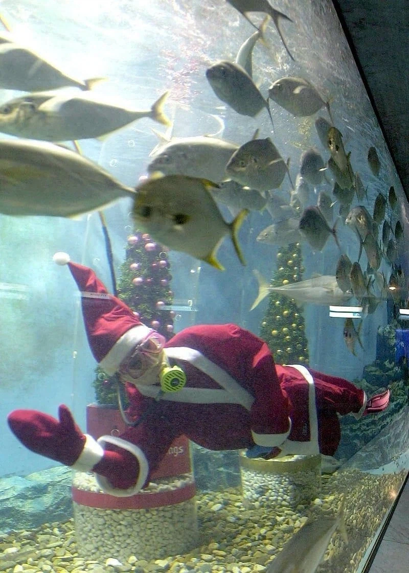 한국에서도 느낄수있는 러시아문학의 향취.jpg_4.webp