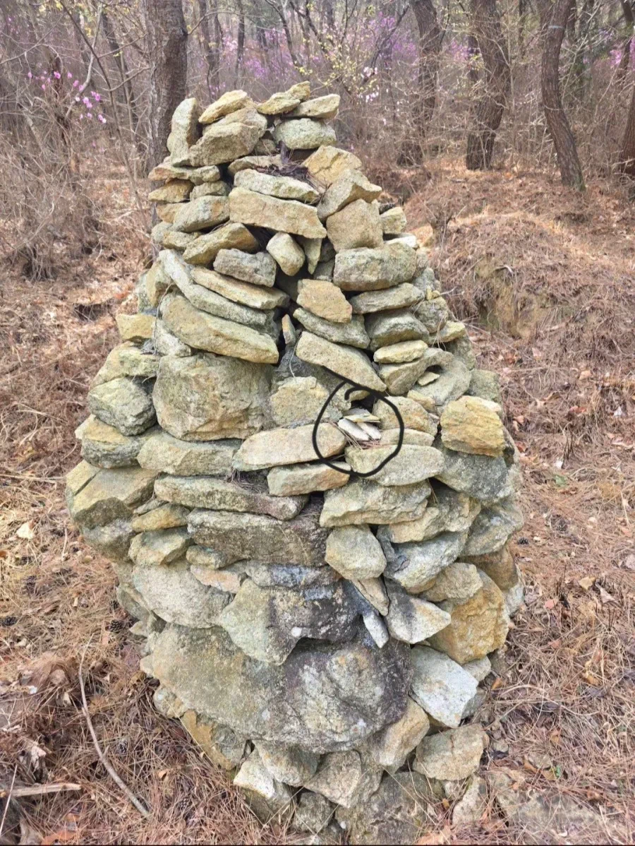 뒷산 갔다가 돈 50만원 주웠다는 디시인.jpg_2.webp