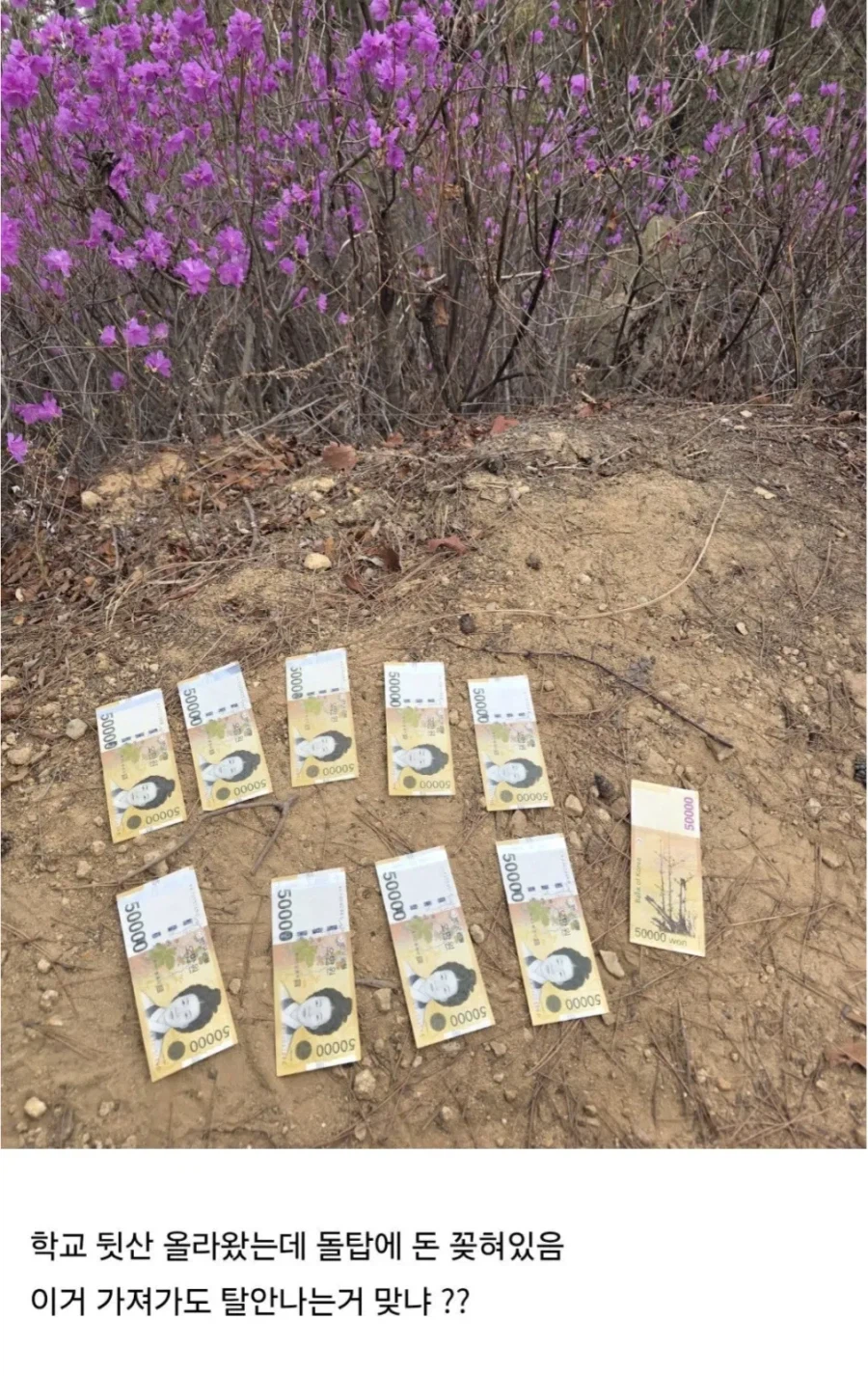 뒷산 갔다가 돈 50만원 주웠다는 디시인.jpg_4.webp