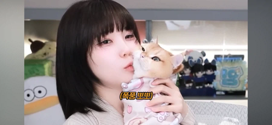 우정잉네 고양이 꾸꾸 보니까_1.webp