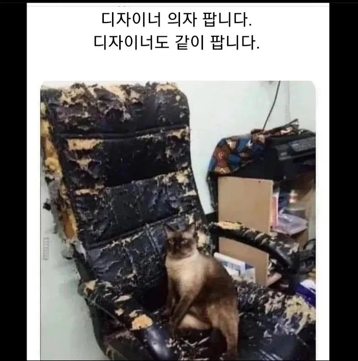 디자이너 의자 팝니다_1.webp