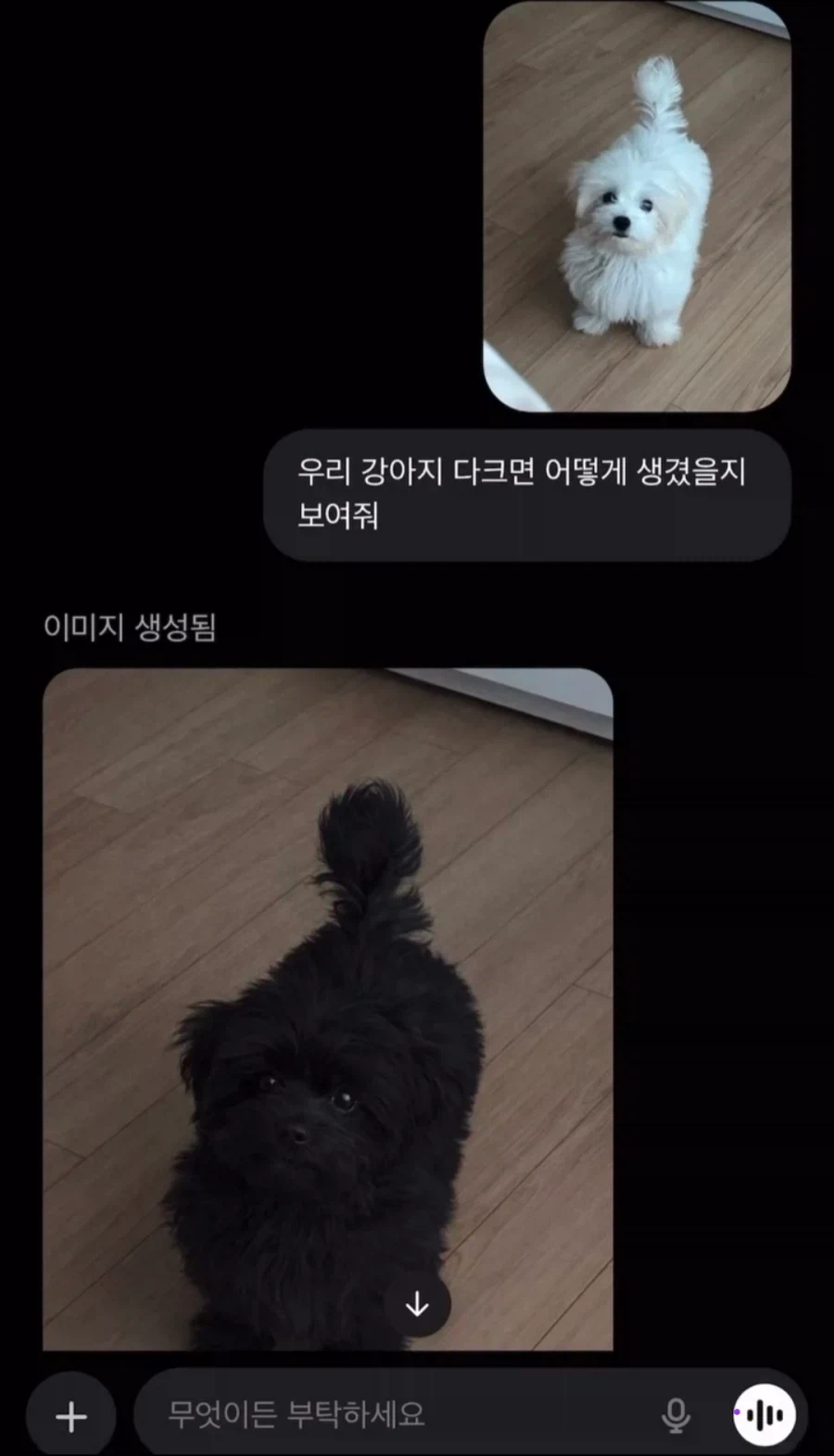 GPT야! 우리 강아지 다크면 어떻게 생겼는지 보여줘!.jpg_1.webp