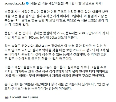 게는 안잡아 먹는 게잡이 물범의 특이한 이빨..._6.webp