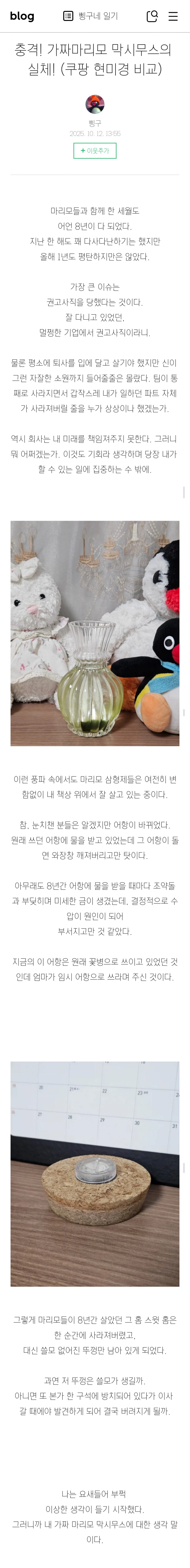 (스압)3년간 키운 마리모의 충격적인 반전의 반전.jpg_2.webp