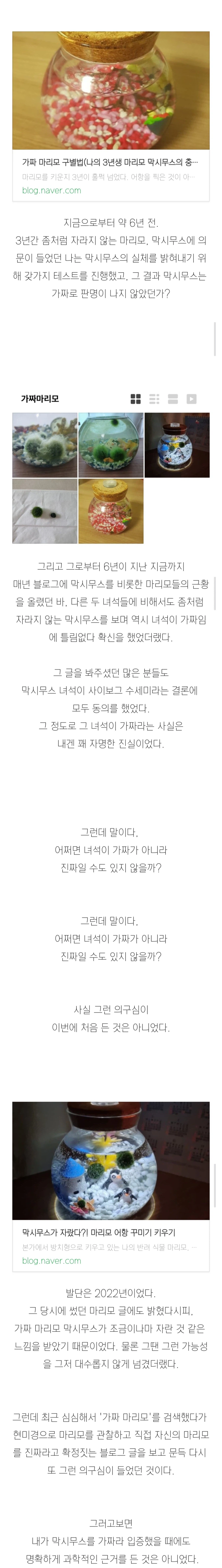 (스압)3년간 키운 마리모의 충격적인 반전의 반전.jpg_3.webp