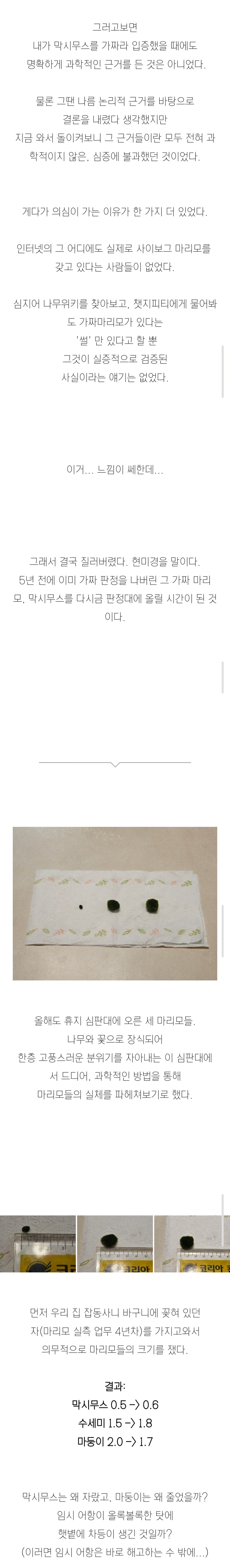 (스압)3년간 키운 마리모의 충격적인 반전의 반전.jpg_4.webp