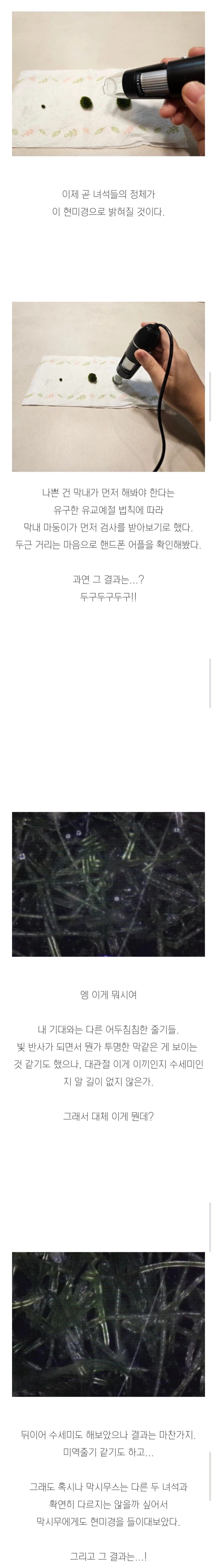 (스압)3년간 키운 마리모의 충격적인 반전의 반전.jpg_6.webp