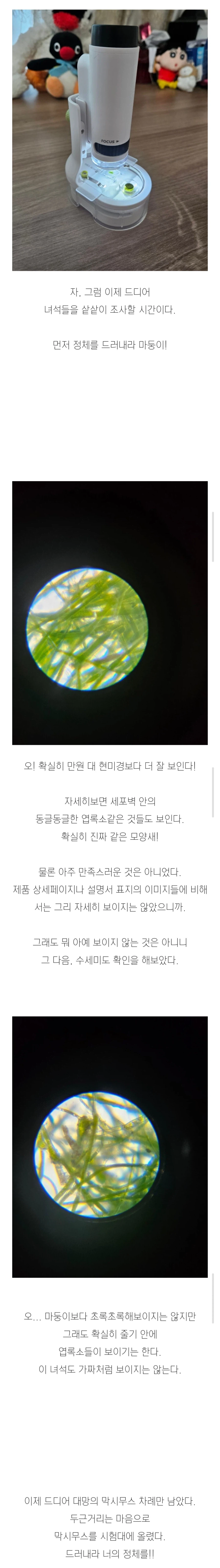 (스압)3년간 키운 마리모의 충격적인 반전의 반전.jpg_9.webp