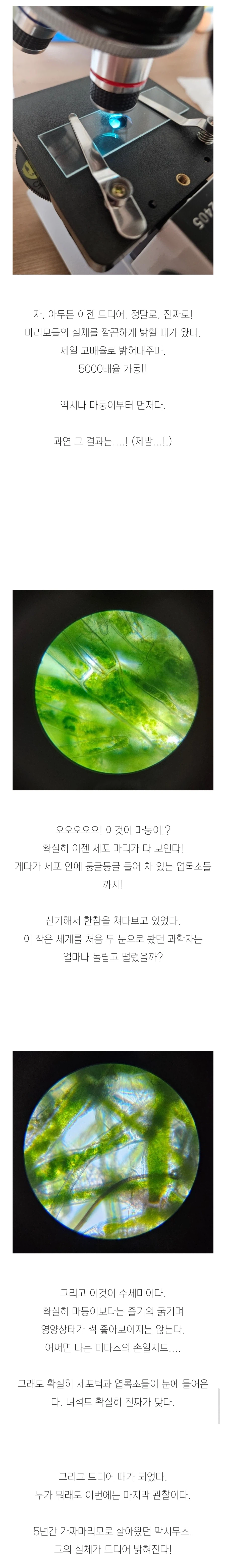 (스압)3년간 키운 마리모의 충격적인 반전의 반전.jpg_12.webp