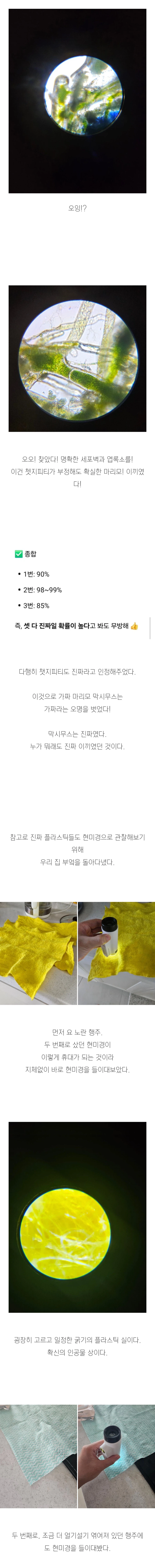 (스압)3년간 키운 마리모의 충격적인 반전의 반전.jpg_13.webp