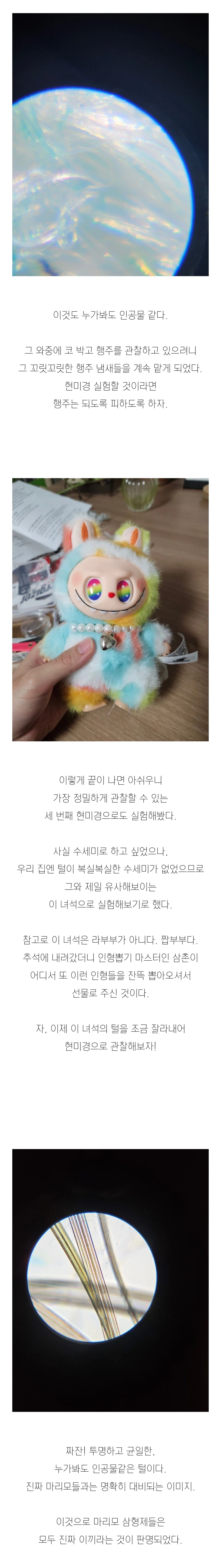 (스압)3년간 키운 마리모의 충격적인 반전의 반전.jpg_14.webp