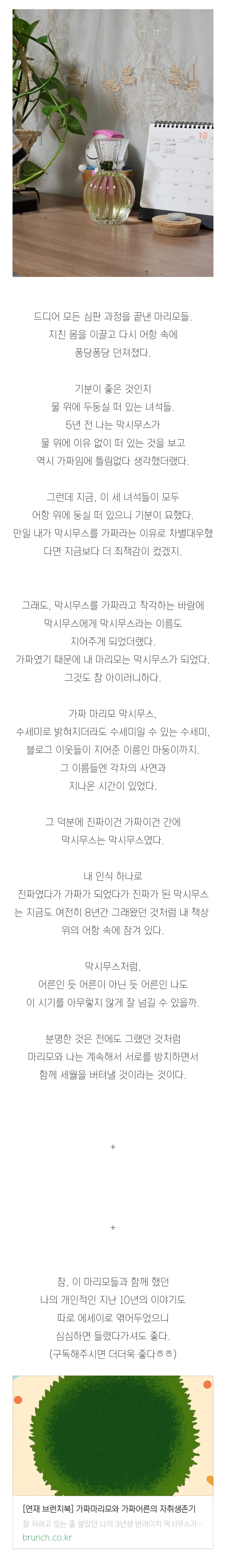 (스압)3년간 키운 마리모의 충격적인 반전의 반전.jpg_15.webp