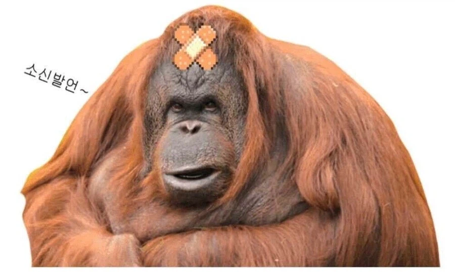 솔직히 작가보고 모든 떡밥을 회수할 필요는 없다고 생각함_1.webp