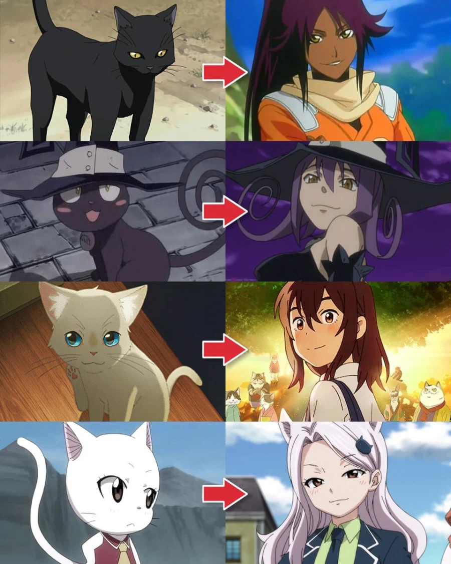 판타지 애니 속 고양이 특징_1.webp