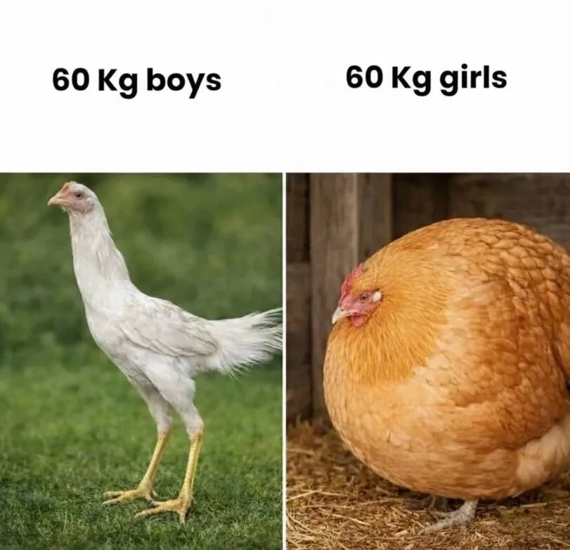 남자 vs 여자_1.webp