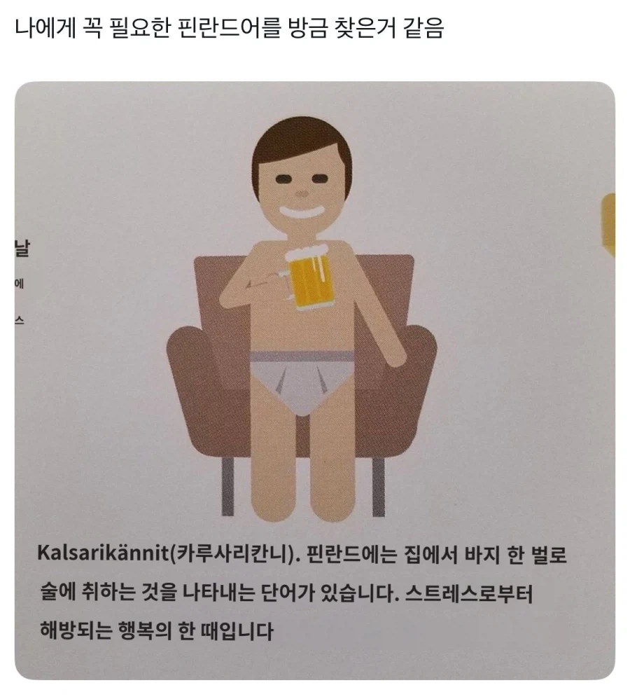 나에게 꼭 필요한 필란드어를 방금 찾은거 같음_1.webp