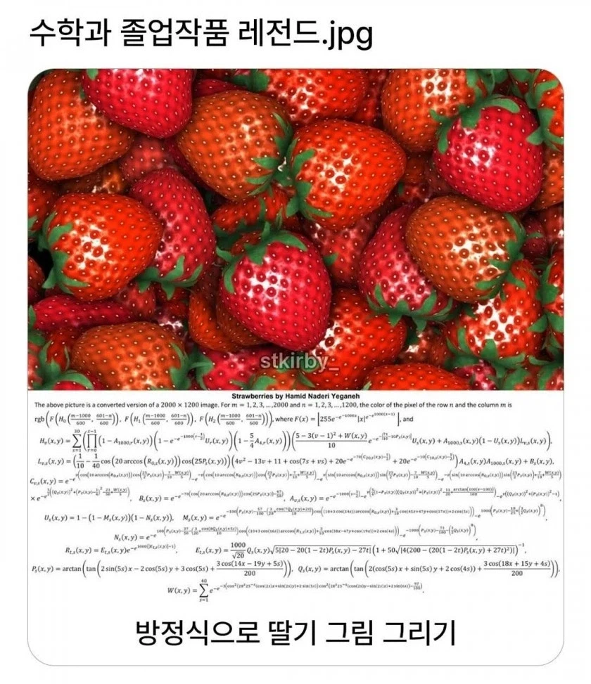 수학과 졸업작품으로 그림 제출..._1.webp