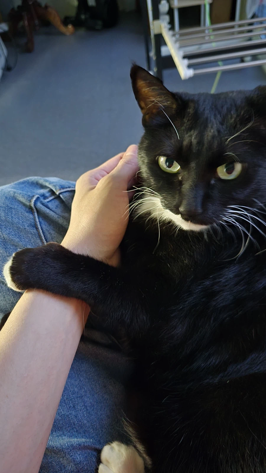 우리집 늘씬한 강아지_9.webp