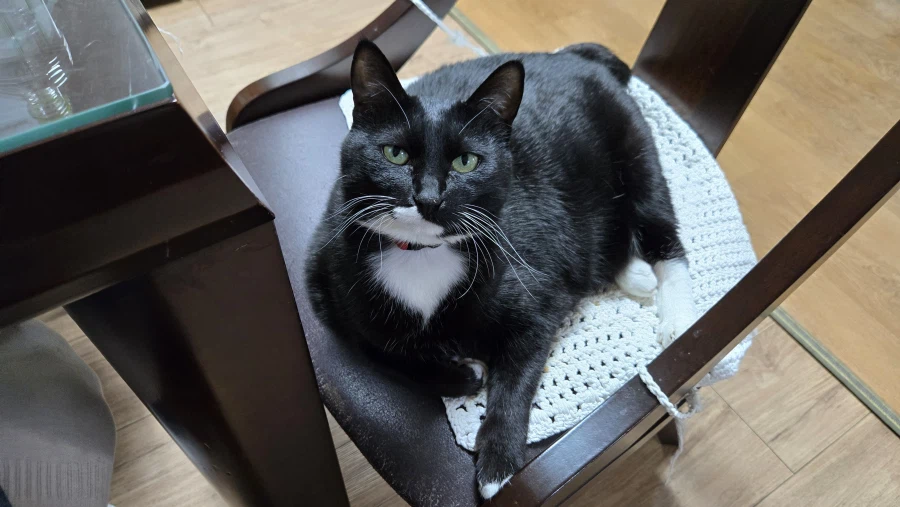 우리집 늘씬한 강아지_10.webp