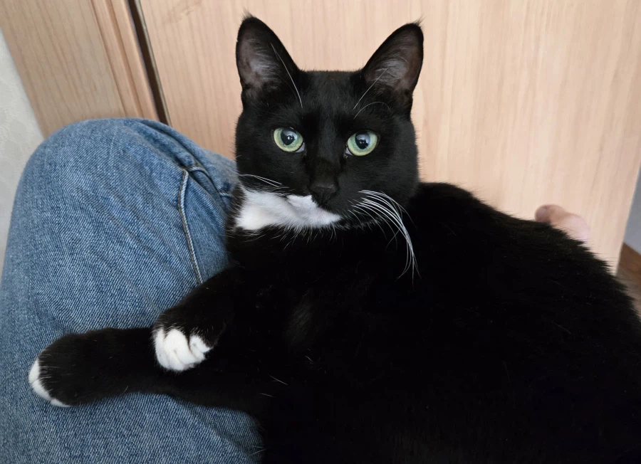 우리집 늘씬한 강아지_11.webp