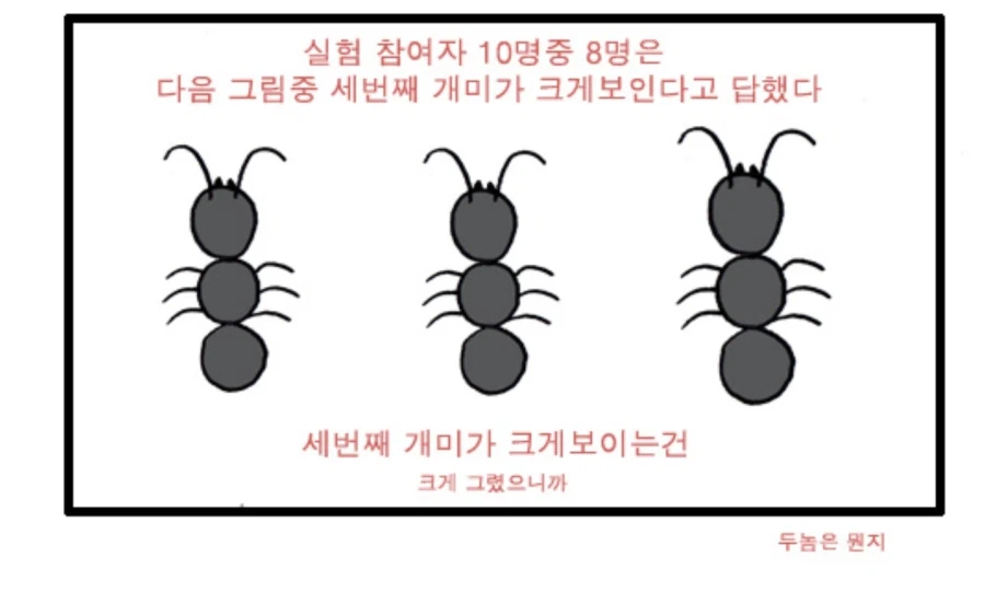 10명중 8명은 한쪽 개미가 커보인다고 하였다_1.webp
