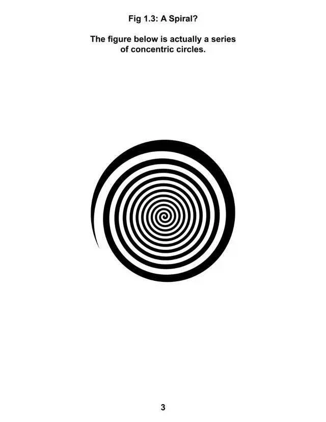 신비로운 착시의 세계_2.webp