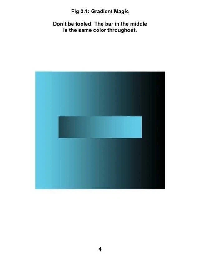 신비로운 착시의 세계_6.webp