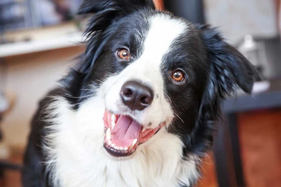 ???: 인간들은 참 순진해_1.webp