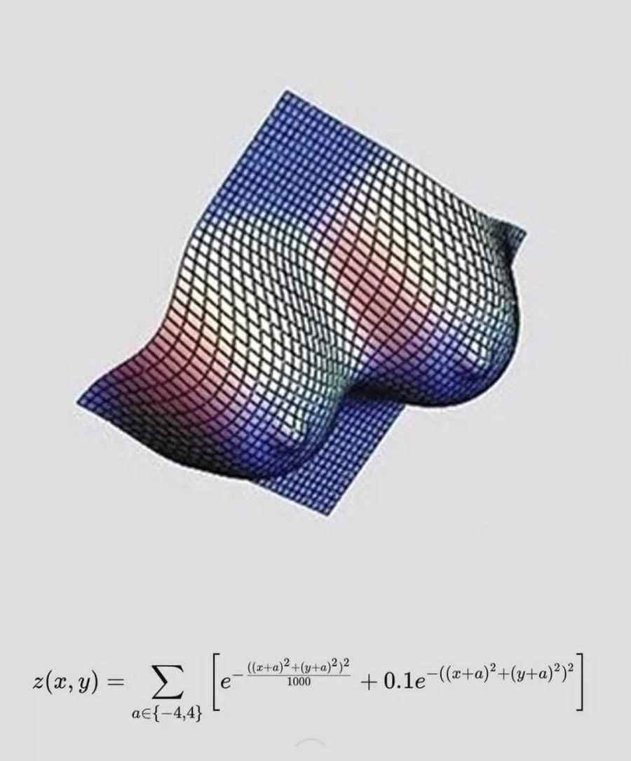 눈으로도 확인할 수 있는 수학의 아름다움.JPG_1.webp