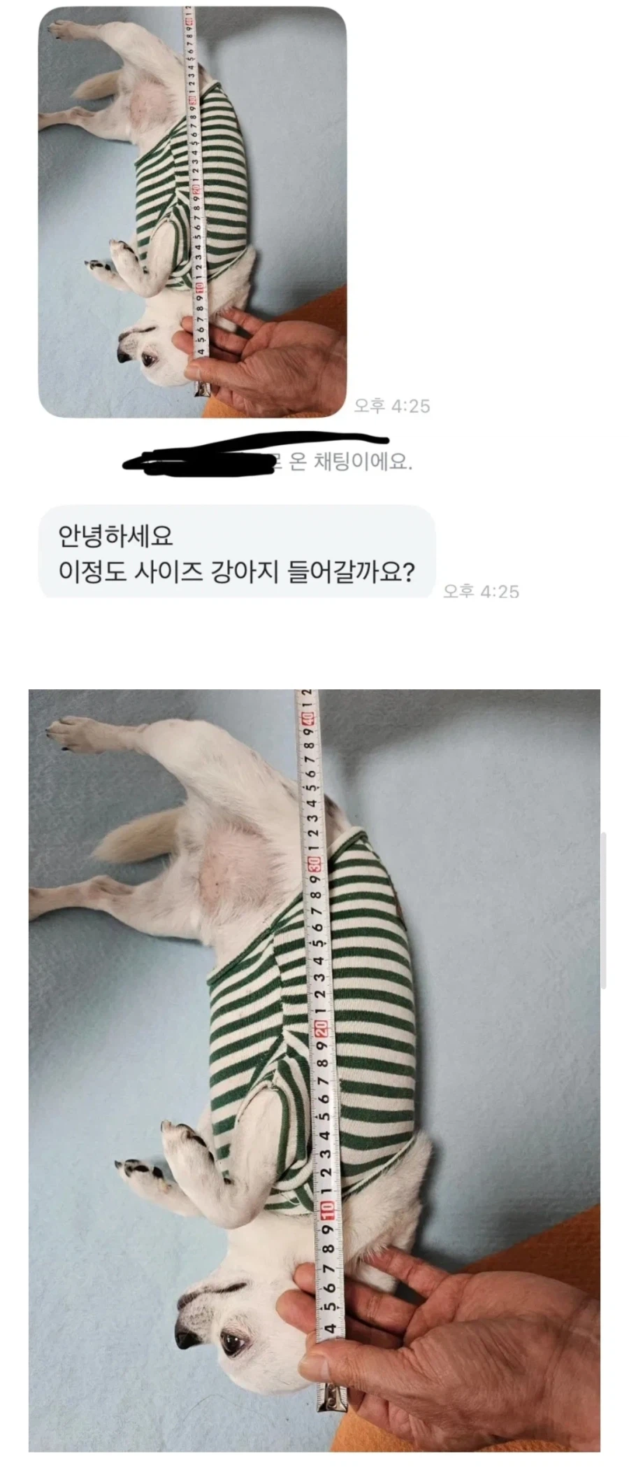 당근의 강아지집 사이즈 문의.jpg_1.webp