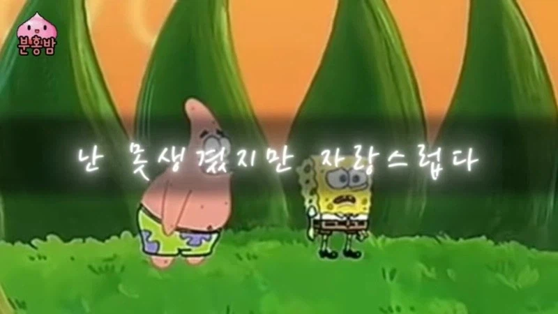 선넘는 거짓말 해봄_1.webp