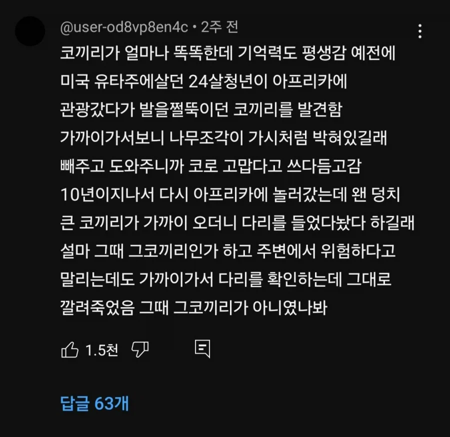 코끼리가 얼마나 똑똑한데...jpg._1.webp