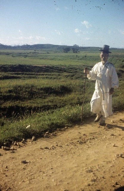 50년대 신기하네 전부 조선시대 옷 입고 있었네_4.webp