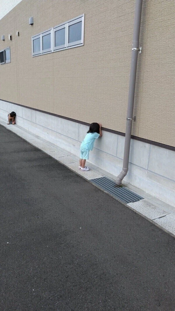 아기들의 숨바꼭질.jpg_1.webp