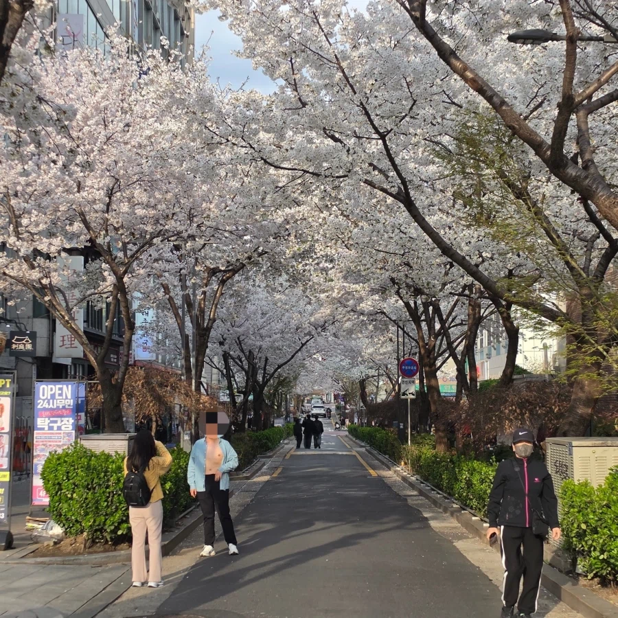 진짜 봄인가 보다 활짝 열렸네_1.webp