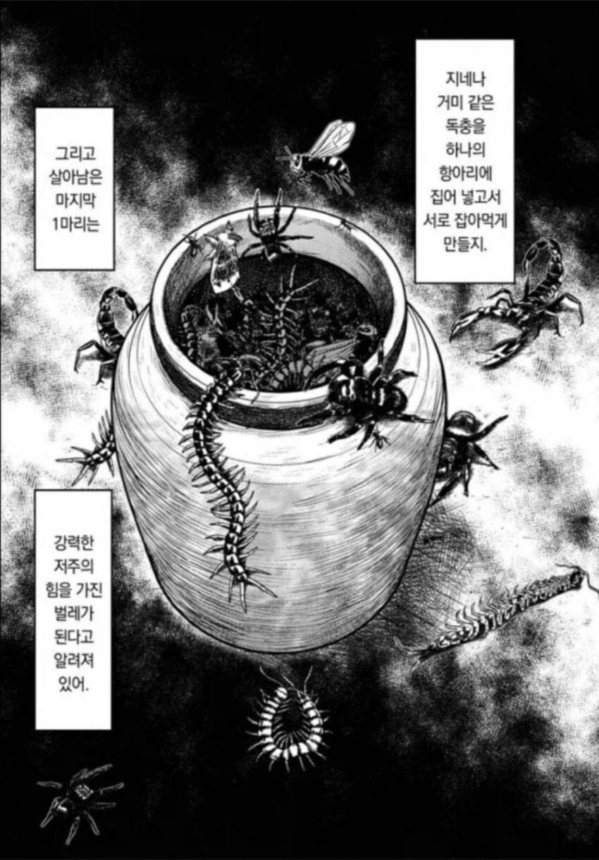 트릭컬)벨리타 엘다인 이격 스토리 주제는 당연히 이거일듯_1.webp