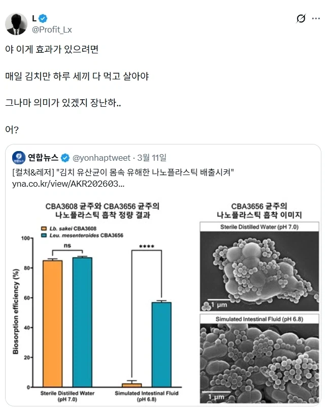 우리가 모르고 있었다는 김치의 효능.jpg_1.webp