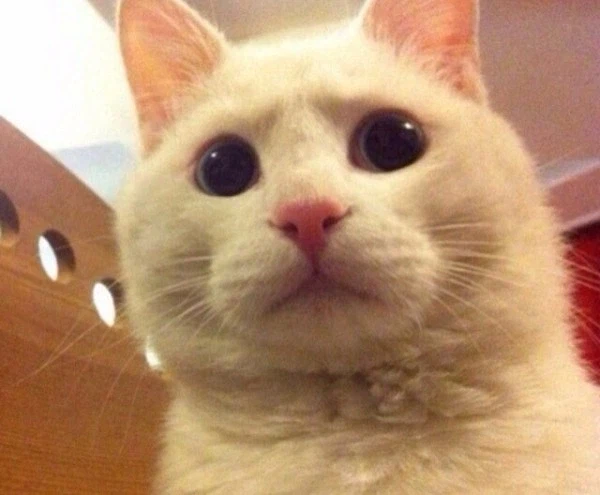 붉은사막을 깐 리리안 개발자를 까는 건 좋은데..._3.webp