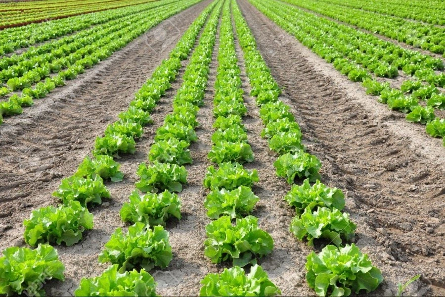 우산 만드는 과정.☂️_1.webp