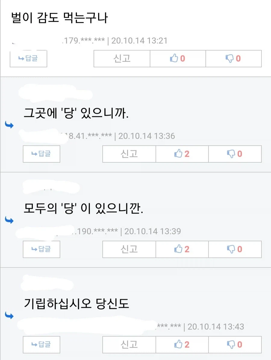 벌이 감을 먹는 이유_2.webp