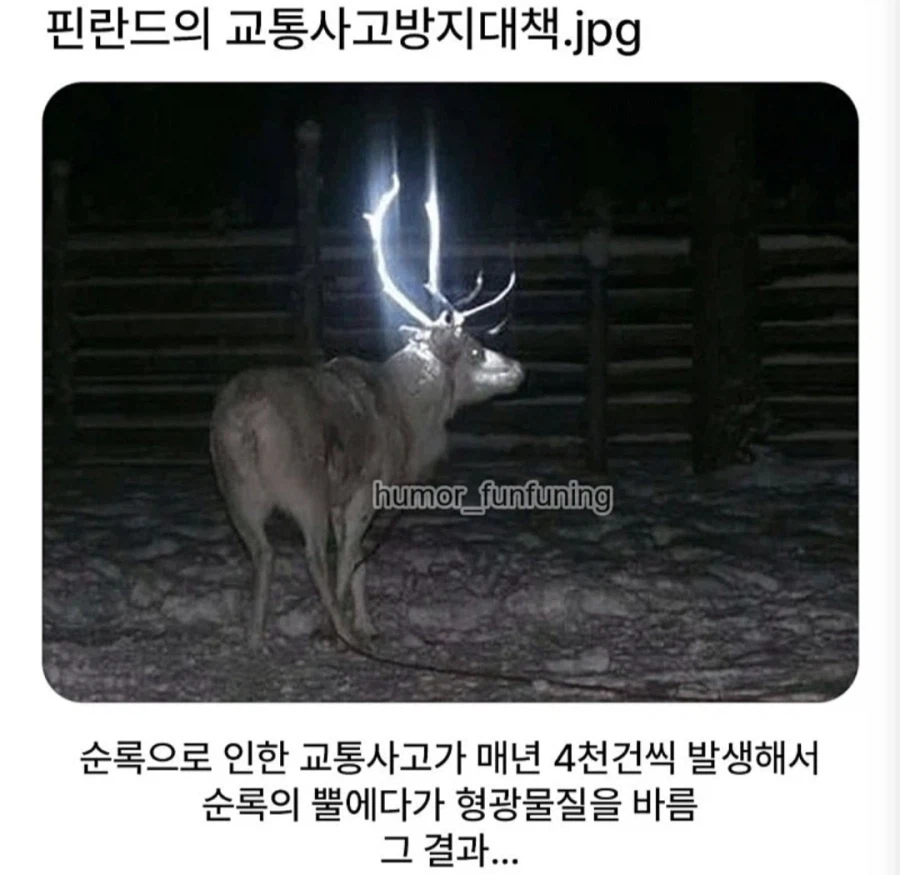 핀란드의 교통사고 방지대책.jpg_1.webp