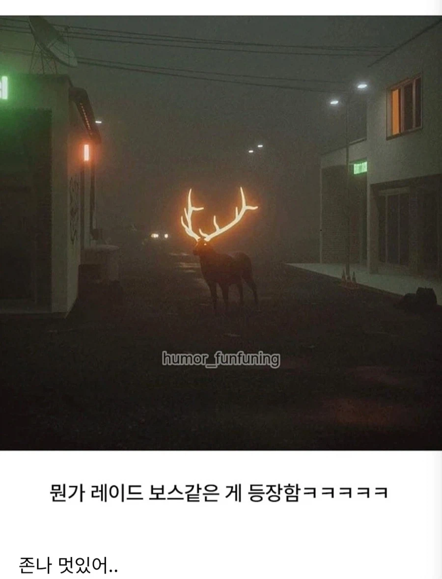 핀란드의 교통사고 방지대책.jpg_2.webp