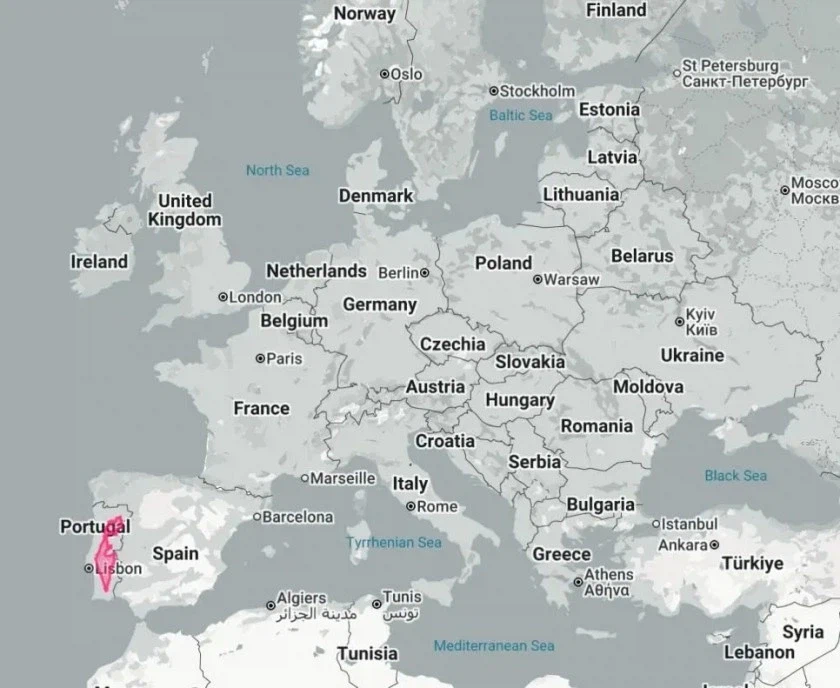 이스라엘 크기 체감_1.webp