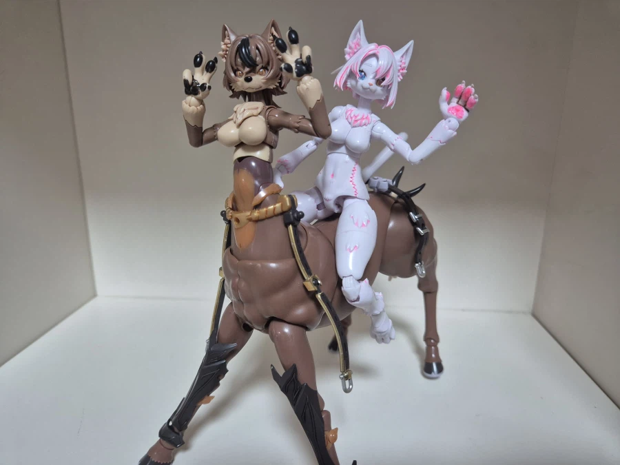 퍼리프라 특_2.webp