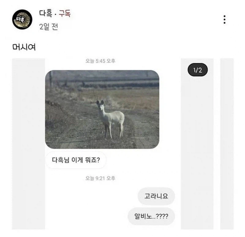 전설의 포켓몬_1.webp