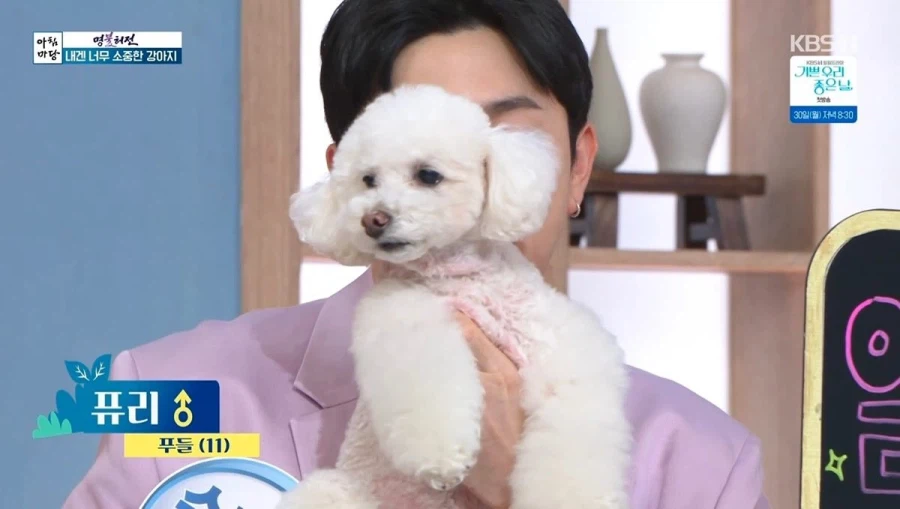 개판이 되어버린 방송국_1.webp