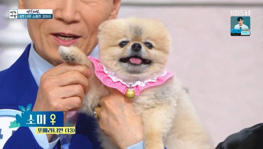 개판이 되어버린 방송국_2.webp