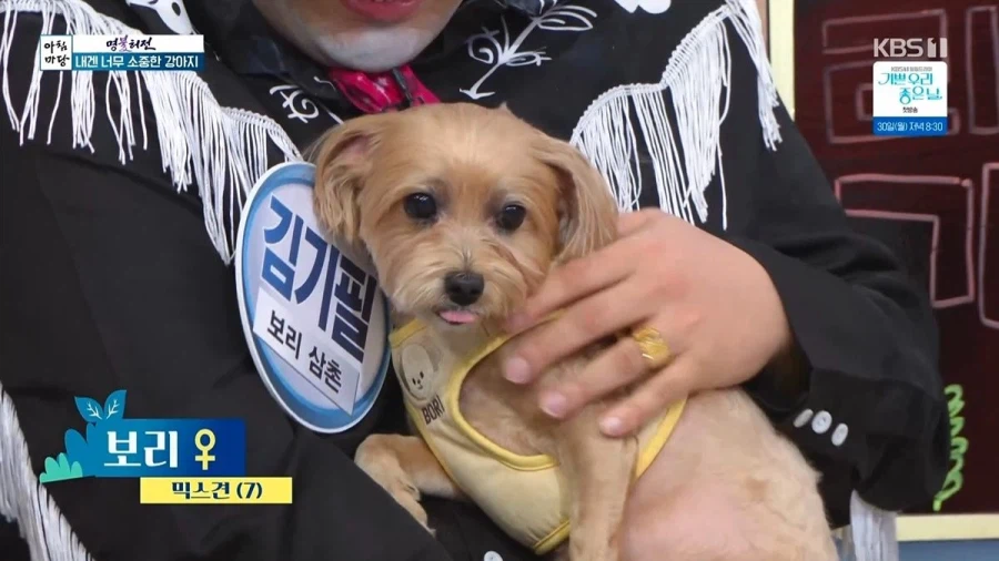 개판이 되어버린 방송국_3.webp